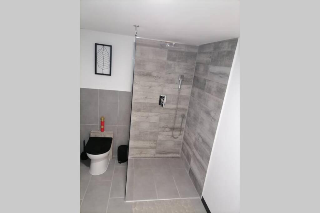 Maison 50 Nuances De Bresse Saint-Didier-en-Bresse Esterno foto
